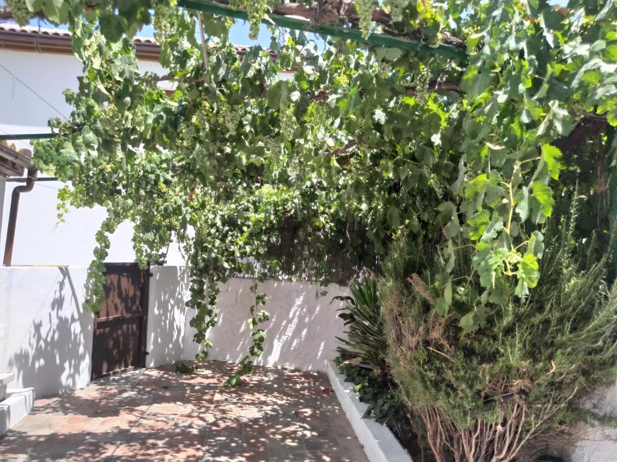 Вилла La Casa Del Ingles Монтефрио Экстерьер фото